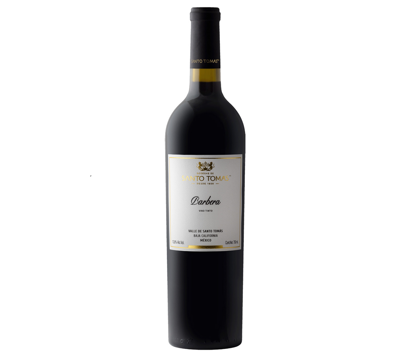 Barbera - 2023 Vintage