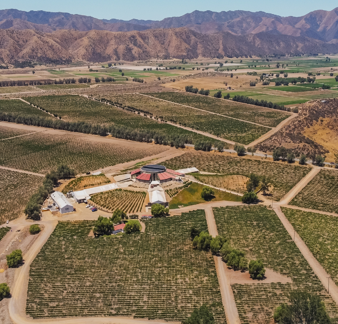 How We Ensure Excellence at MXN Wines