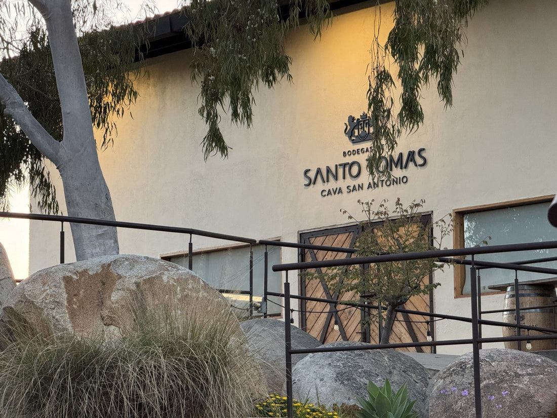 Bodega de Santo Tomás - 1888 years of excellence